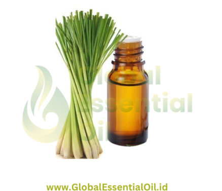 buy lemongrass essential oil manufacturers, wholesale essential oil lemongrass