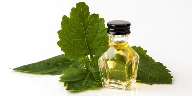 patchouli light