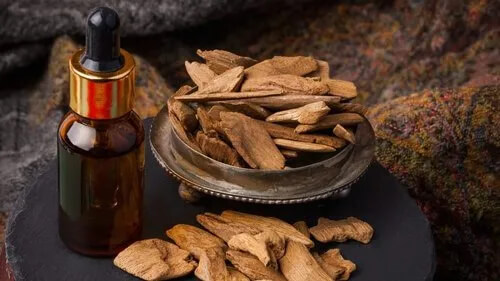 Broader Scientific Context: Agarwood and the Nervous System