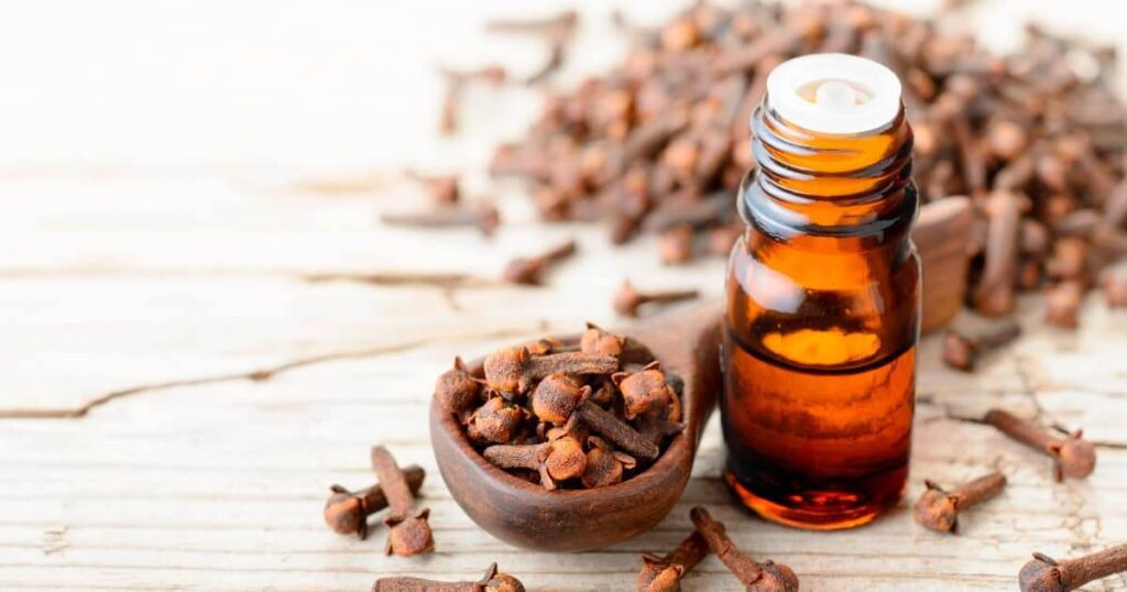 Global Essential Oil, Benefits Of Clove Oil In Toothpaste