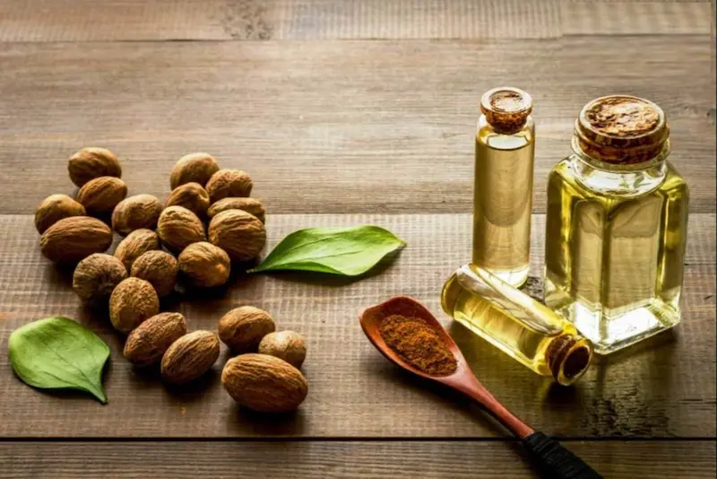 Nutmeg Oil for Digestion: What Research Says About Nausea, Gas and Bloating 3 bulk nutmeg oil