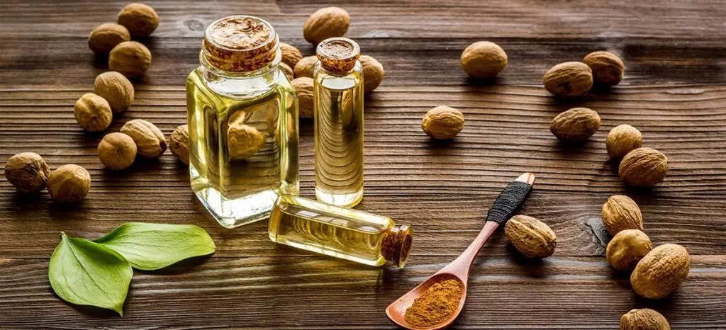 Nutmeg Oil for Digestion: What Research Says About Nausea, Gas and Bloating 1 nutmeg oil for digestion