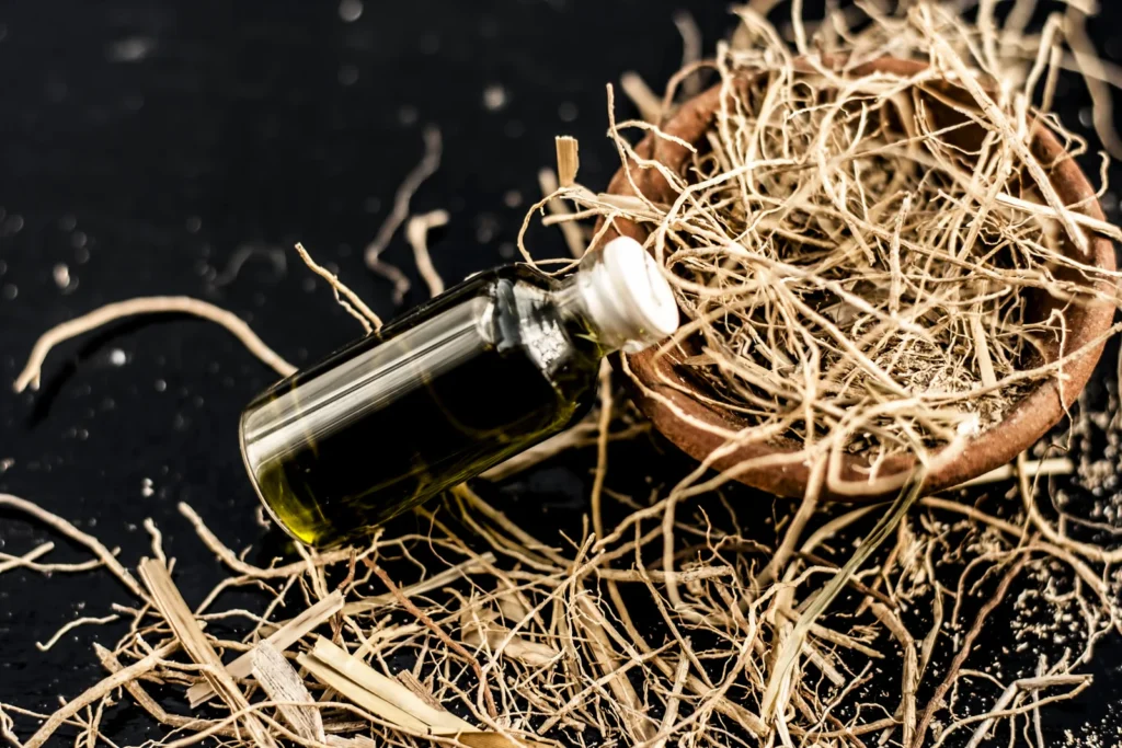  vetiver plants, vetiver oil, vetiver scent, vetiver essential oil
