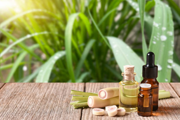 Private Label Essential Oil from Indonesia: Step-by-Step Guide to Launching Your Brand