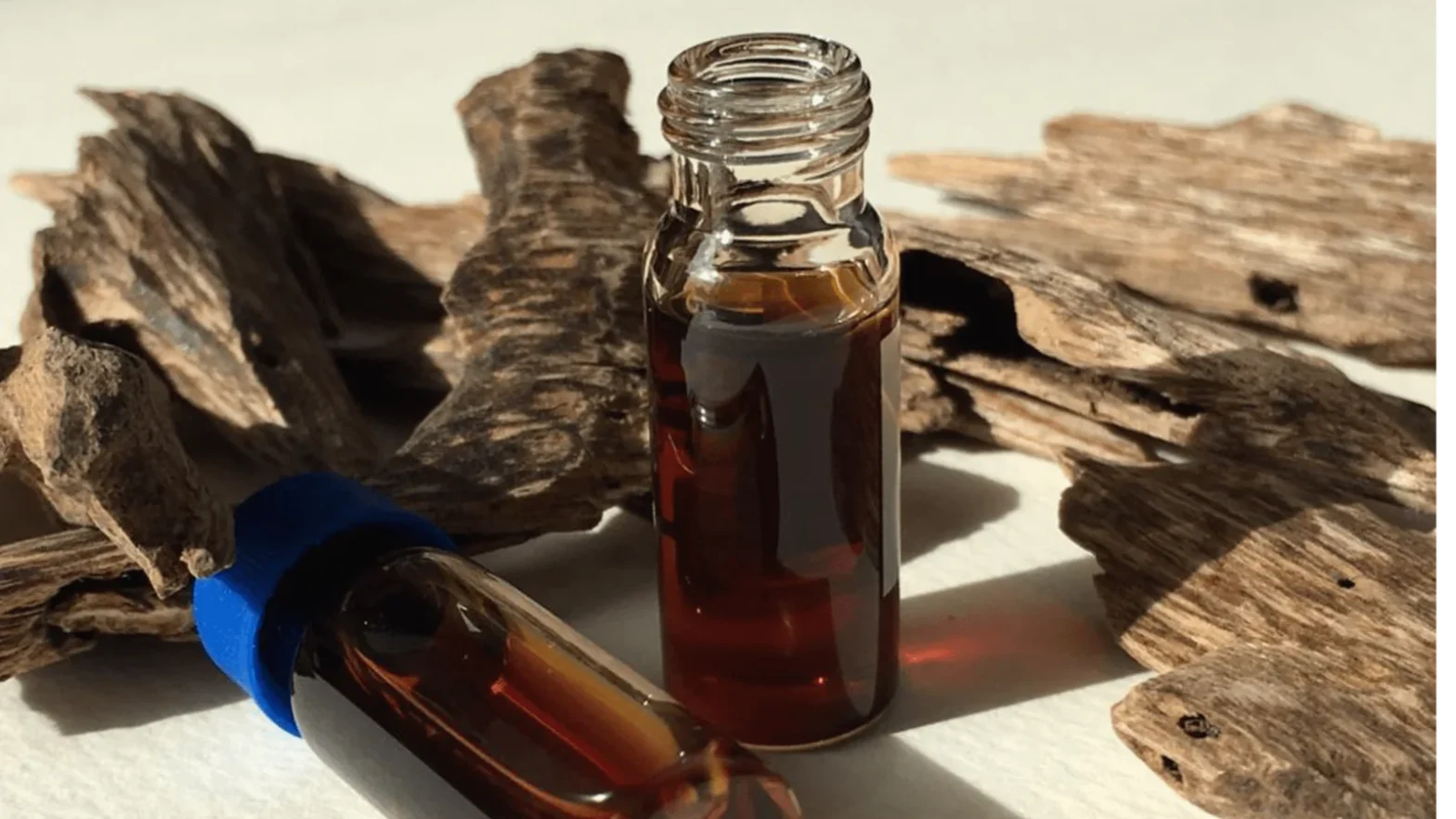 Agarwood Essential Oil Benefits: 10 Proven Uses for Skin, Mind & Wellbeing