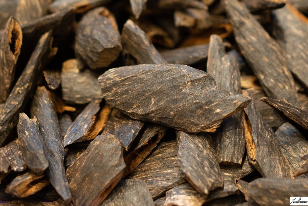 The 2025 Pharmaceuticals Study: Agarwood and Depression-Like Behaviour