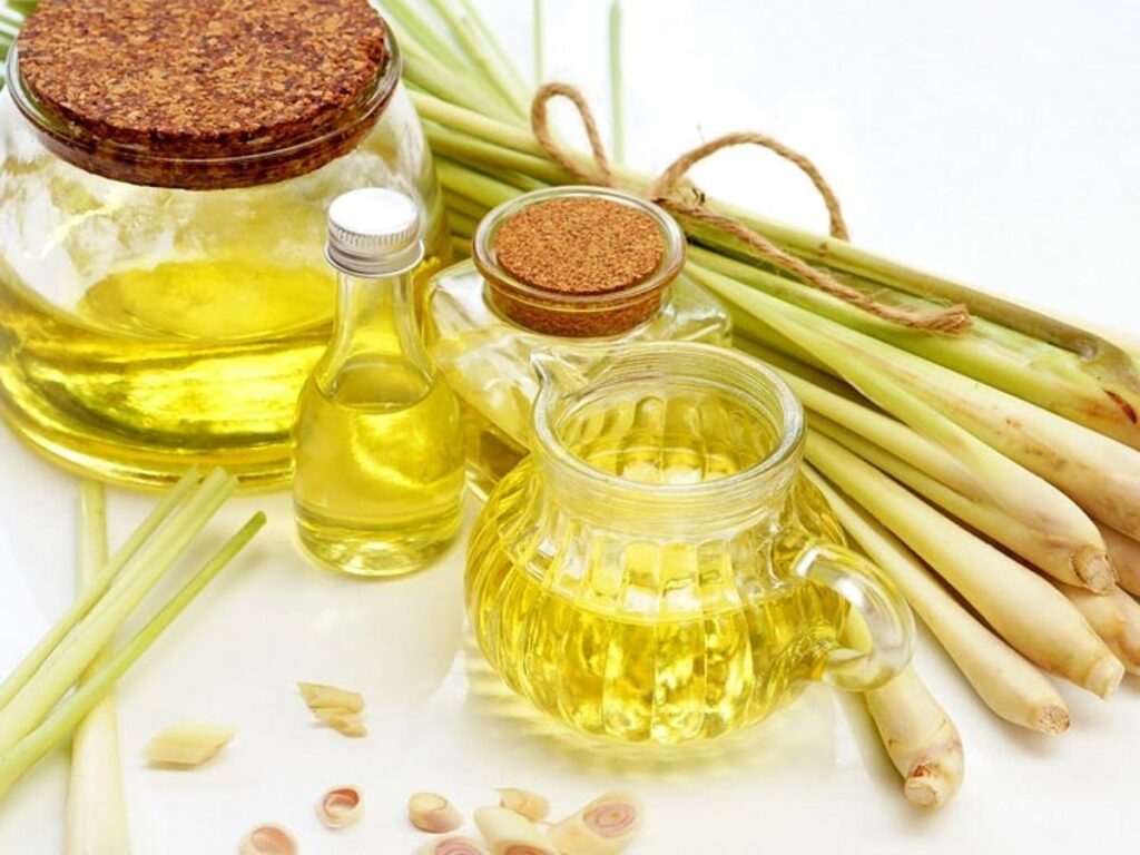 lemongrass oil, skin, hair, oil