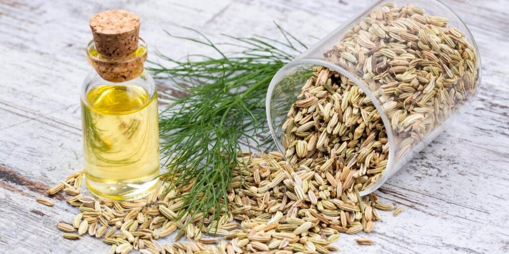 fennel seed oil, fennel, relaxation, health
