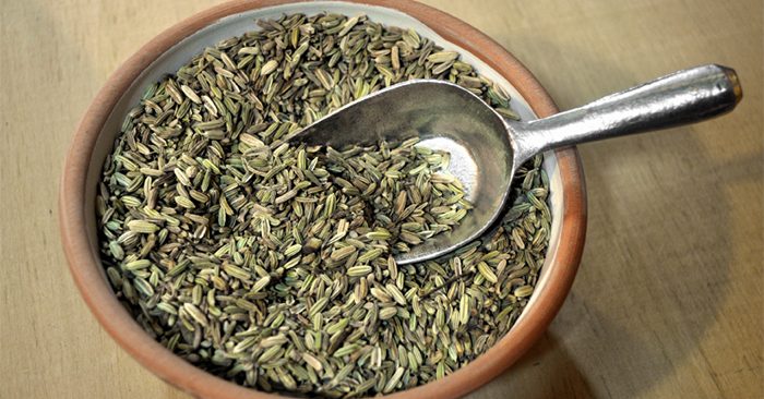 fennel seed, fennel oil, sweet, bitter, fennel seed, culinary, kitchen, modern  