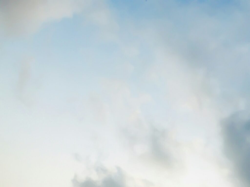 nutmeg oil, nutmeg powder, nutmeg, storage