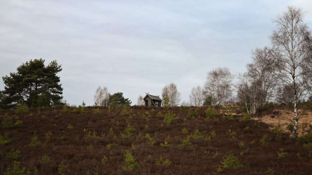 Patchouli, essential oil, perfumers, notes