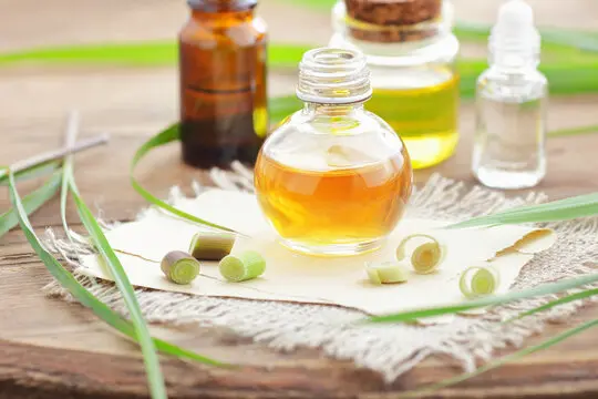 How to Evaluate Citronella Oil Quality: A B2B Buyer Checklist 1 citronella oil quality