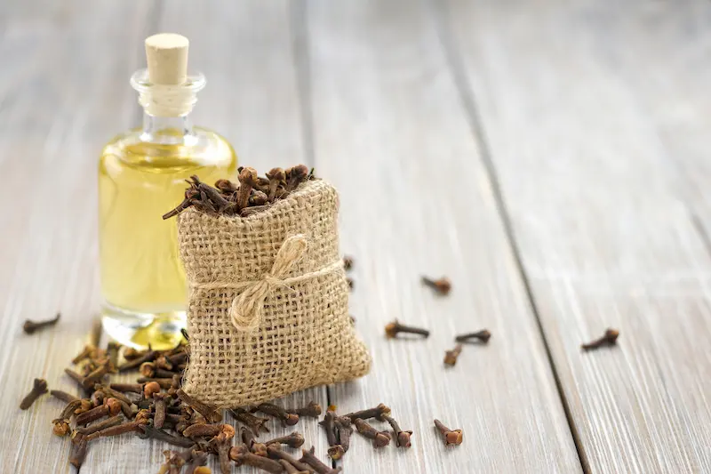 clove essential oil