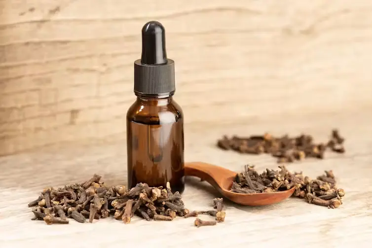 clove oil for pain relief