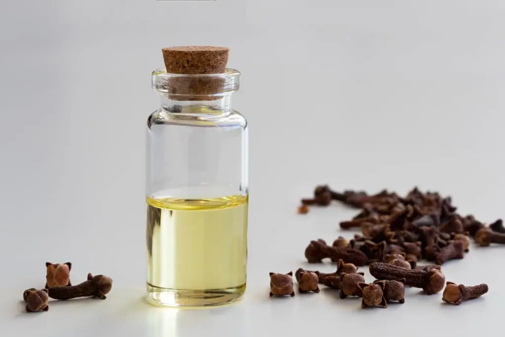 Clove Oil for Pain Relief: What Research Shows and What It Does Not
