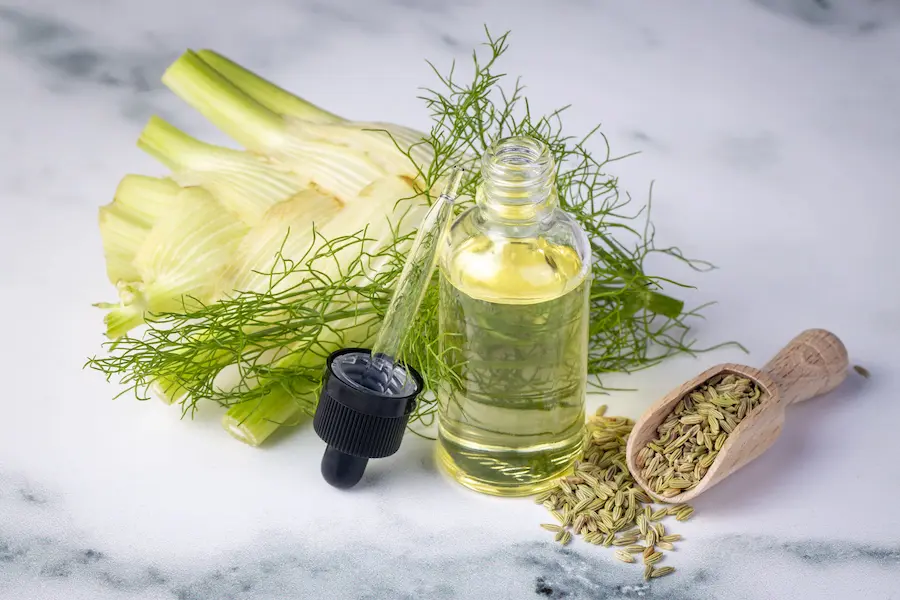 Fennel Oil for Anxiety