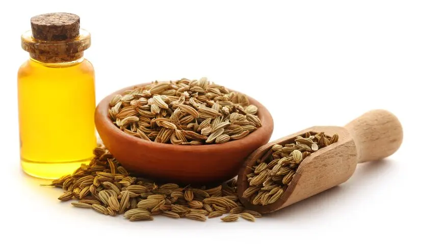 Fennel Oil for Anxiety and Mental Wellness: Evidence and Safety