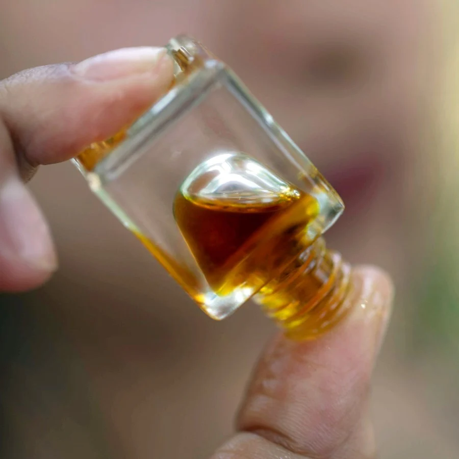 patchouli, plant, farming, essential oil