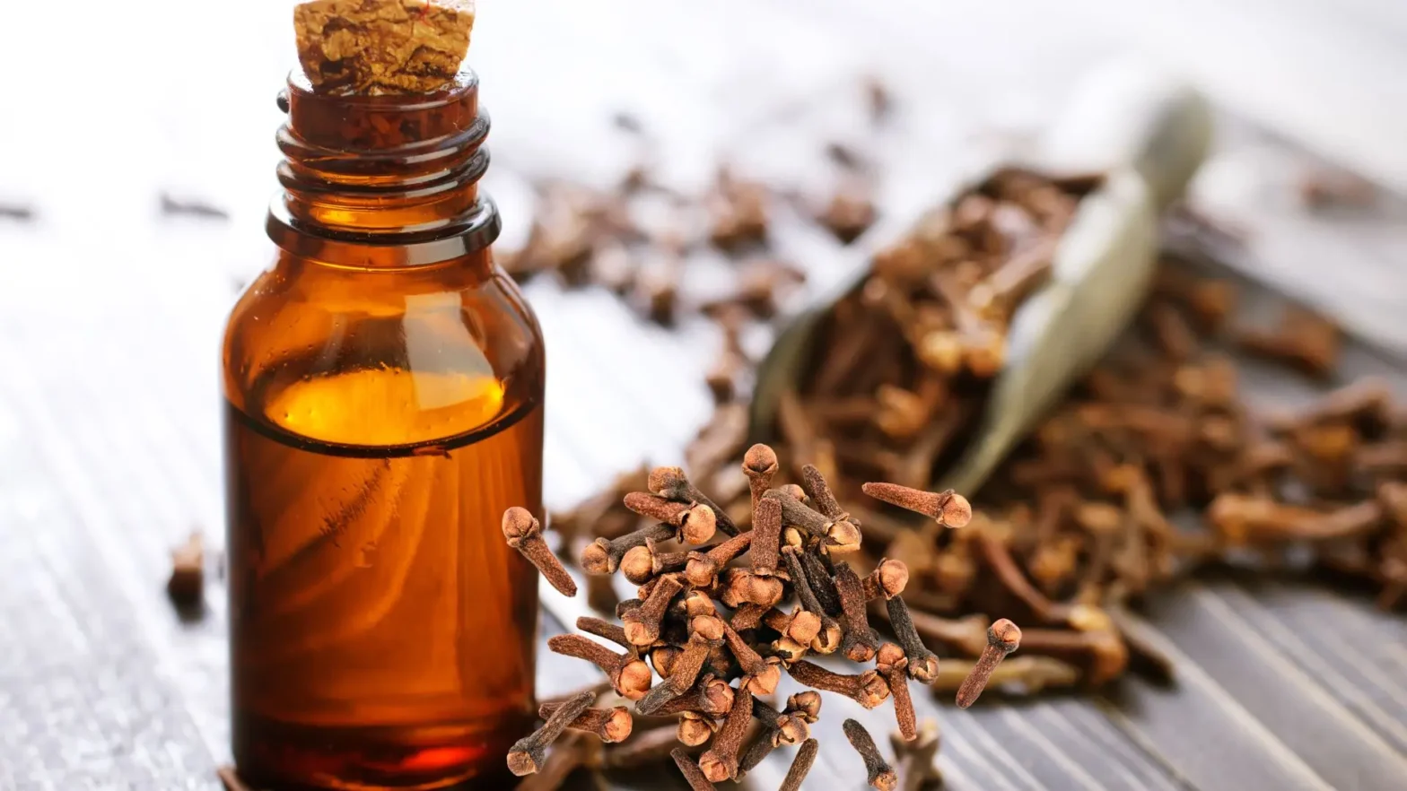 Eugenol Manufacturer Indonesia: USP Grade, Pricing & Complete Buyer’s Sourcing Guide