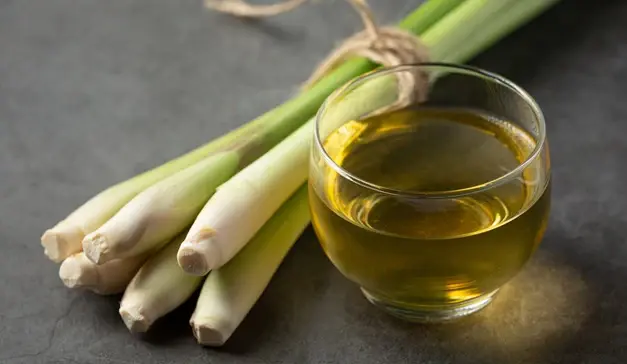 citronella oil