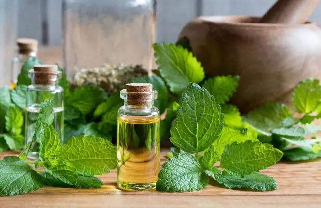 Global Essential Oil, Products