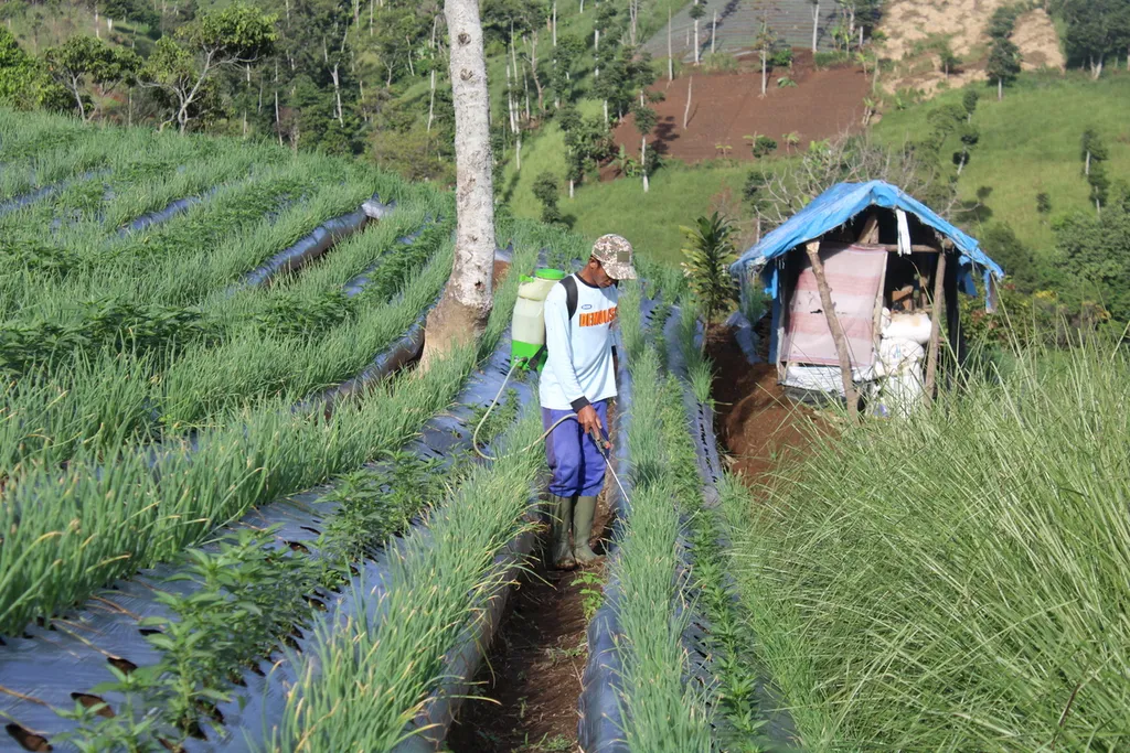 Global Essential Oil, Sustainable Essential Oil Sourcing: A Practical Guide for Buyers, Brands & Formulators