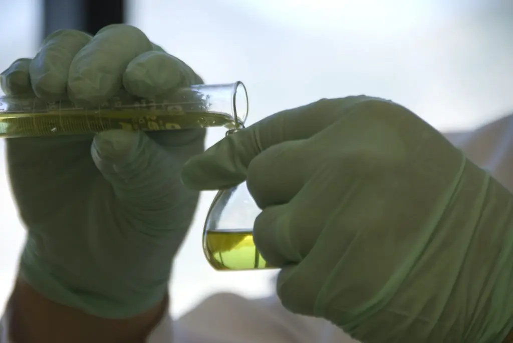 How to Detect Essential Oil Adulteration: A Practical Guide for Buyers + Lab Methods Explained 2 how to detect Essential Oil Adulteration