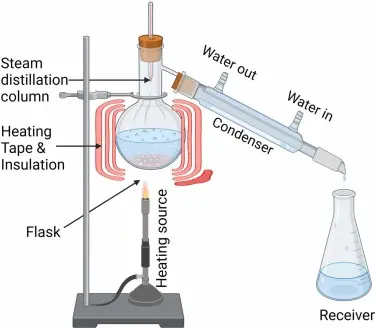 essential oil steam distillation process