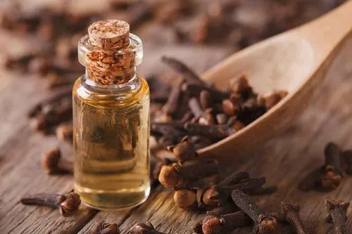 Clove Bud Oil vs Clove Leaf Oil vs Clove Stem Oil: Complete Comparison for Buyers 3 clove bud oil