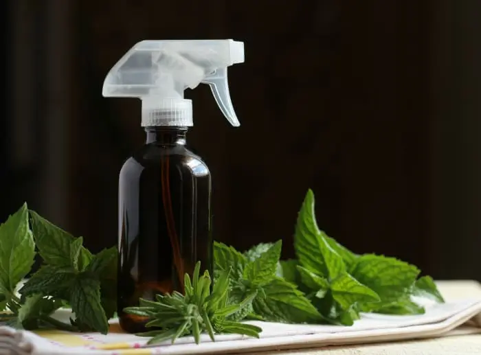 Citronella Oil for Cleaning Products: How It Works, DIY Recipes & B2B Formulation Guide 5 Citronella Oil as a Natural Air Freshener and Room Deodorizer