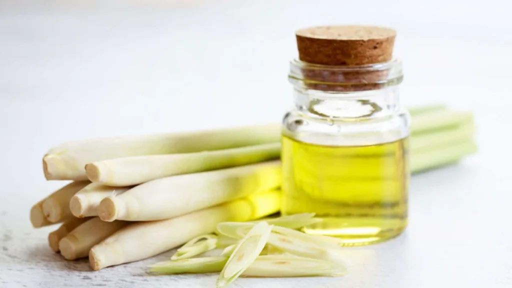 Citronella Oil for Stress Relief