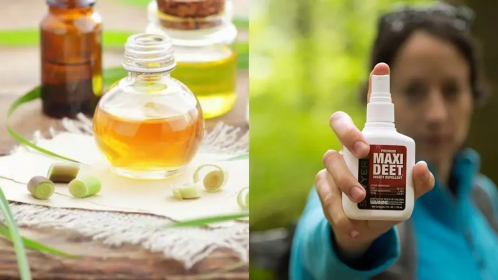 Citronella Oil vs DEET: Effectiveness, Safety, and When to Choose Each 1 Citronella Oil vs DEET