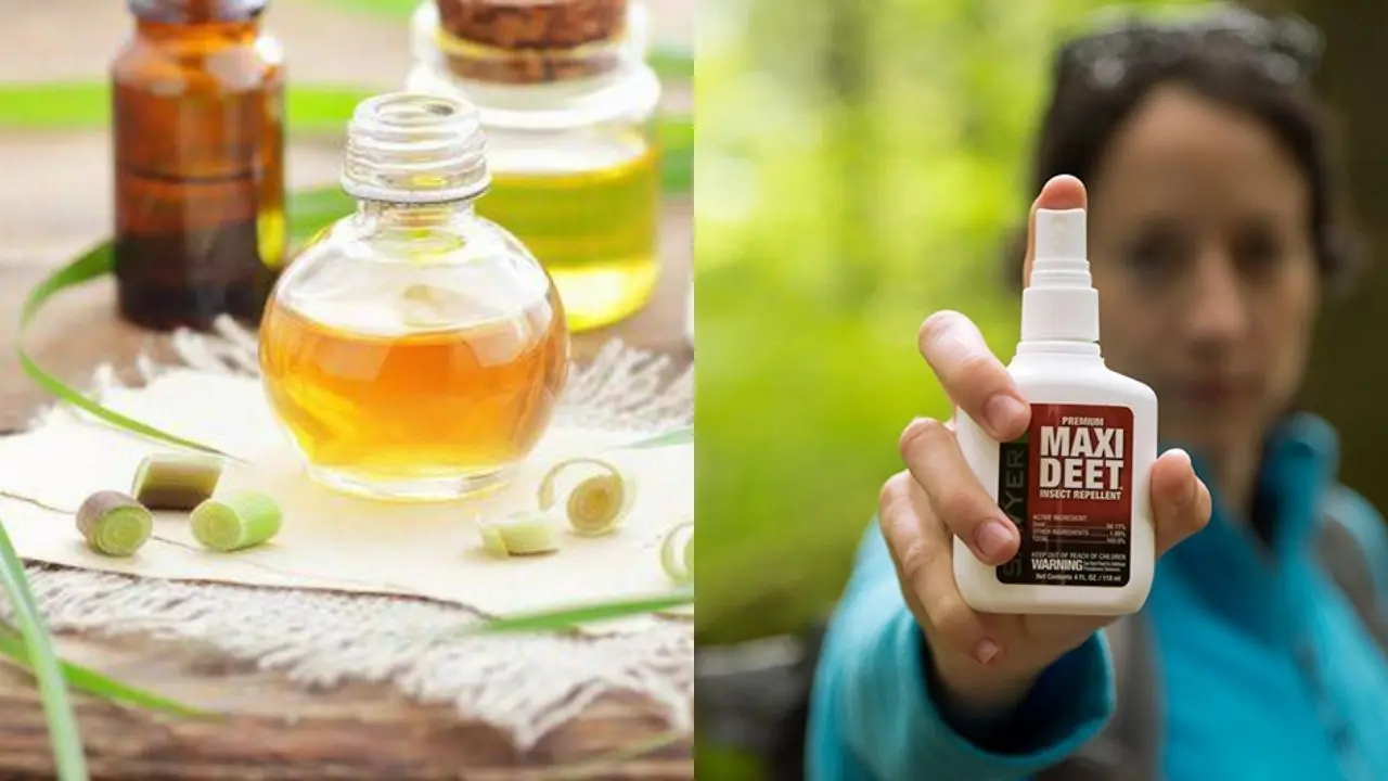 Citronella Oil vs DEET: Effectiveness, Safety, and When to Choose Each