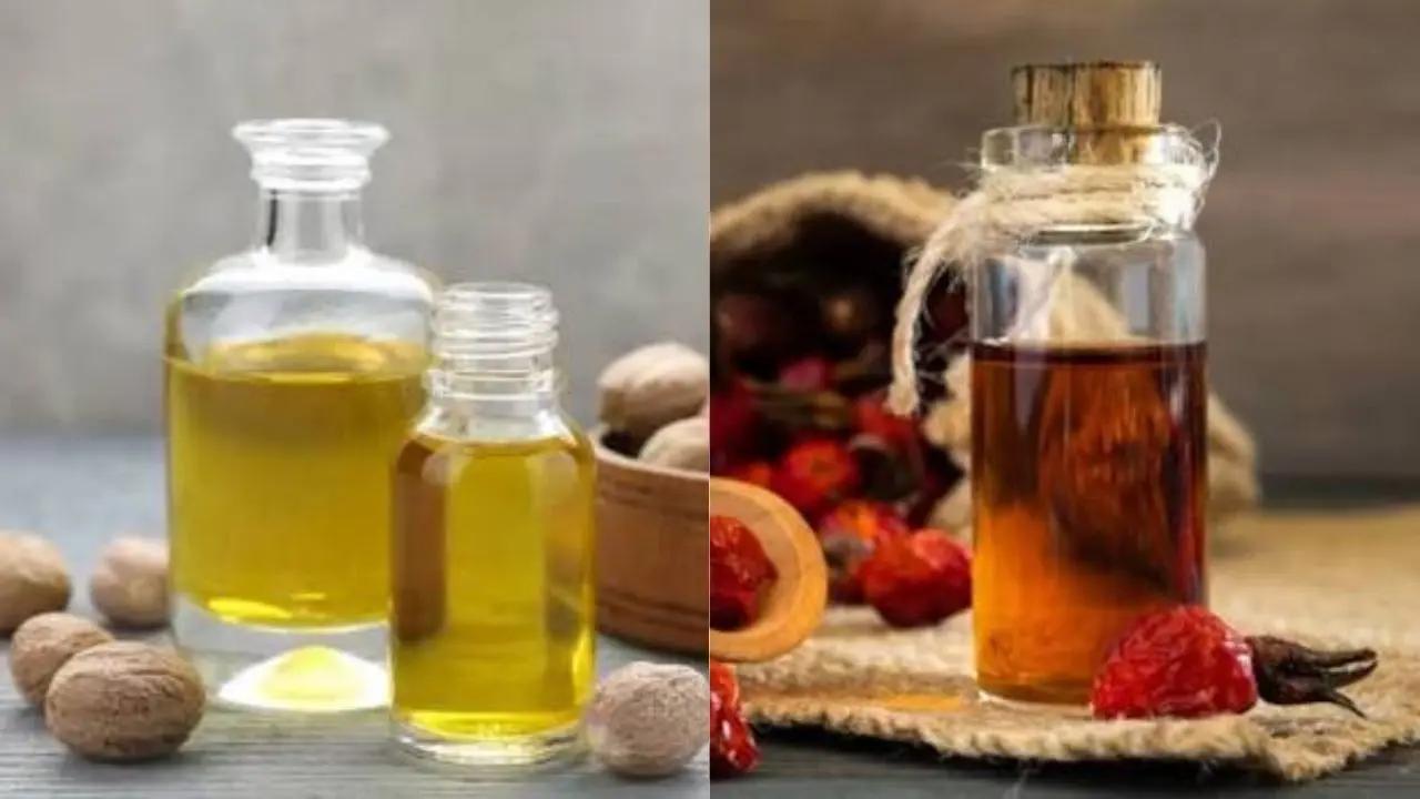Nutmeg Oil vs Mace Oil: Complete Comparison, Uses, and Buyer Guide