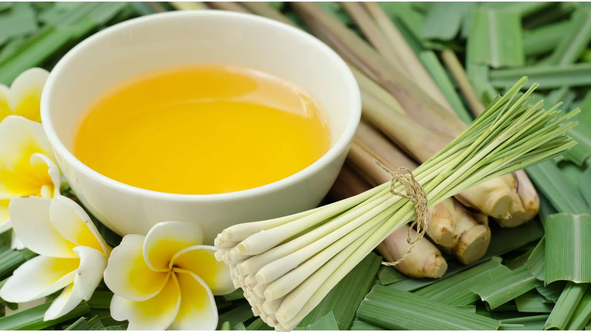 Citronella Essential Oil for Anxiety, Mood, and Stress: Evidence and Practical Guide