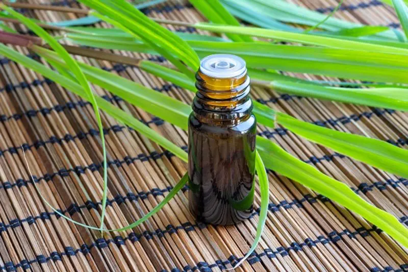How Citronella Oil Affects the Brain