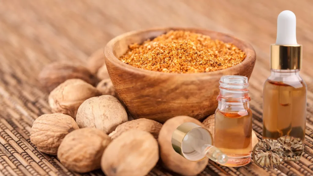 Nutmeg Essential Oil for Perfumery: Scent Profile, Blending & B2B Buyer Guide 1 Nutmeg Essential Oil for Perfumery