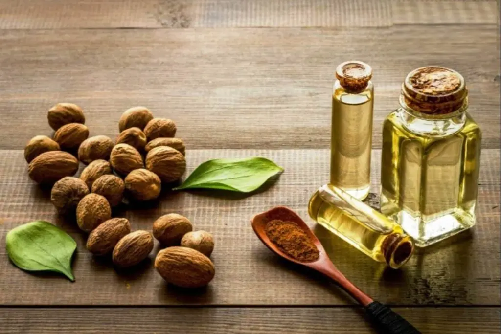 How Nutmeg Essential Oil Is Made