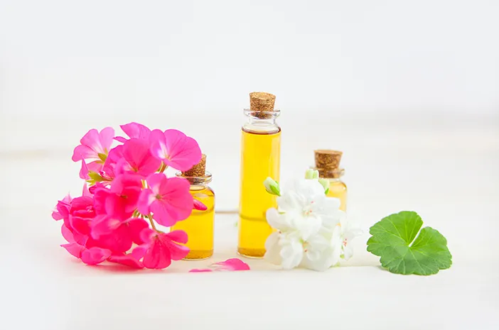 Best Essential Oils for Mosquito Repellent: What Research Says 7 geranium essential oil