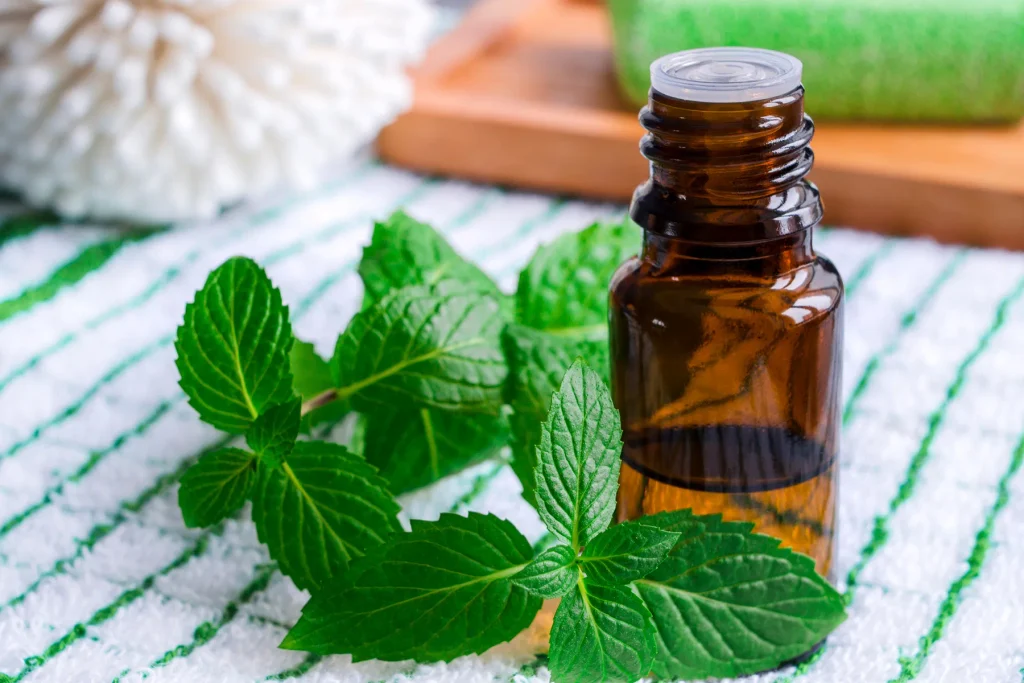 Best Essential Oils for Mosquito Repellent: What Research Says 6 peppermint essential oil