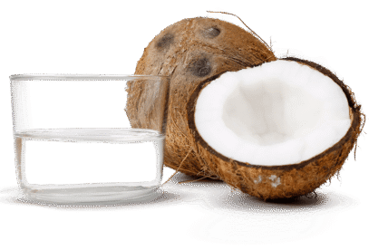 5f32986e1b6aa803da358b97_Forestwise-palmoil-met noten (1) virgin coconut oil manufacturing from Indonesia, virgin coconut oil for skincare, carrier oil virgin coconut oil, carrier oil for essential oil, best virgin coconut oil, organic virgin coconut oil for essential oil