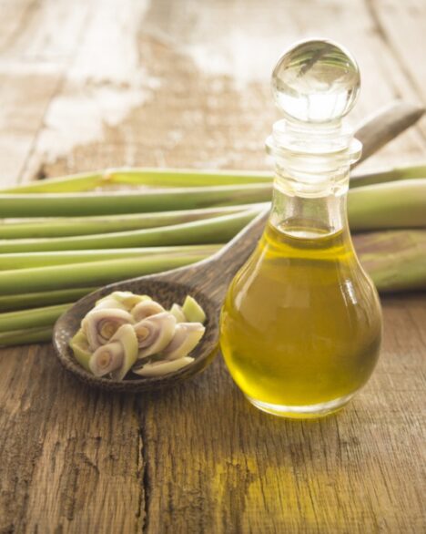 lemongrass essential oil manufacturer, lemongrass aromatherapy, edible lemongrass oil, lemongrass essential oil good for skin