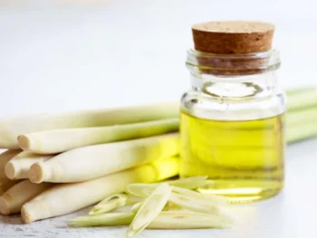 Global Essential Oil, Huge Potential Of Essential Oil In Trade Expo Indonesia 2024