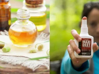 Citronella Oil vs DEET