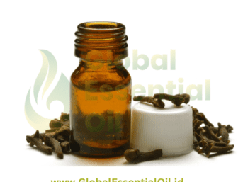 trusted Clove oil supplier from Indonesia, wholesale clove essential oil