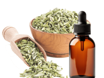 fennel essential oil use for, fennel seed oil supplier, best fennel essential oil blends, fennel seed oil