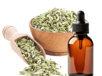 fennel essential oil use for, fennel seed oil supplier, best fennel essential oil blends, fennel seed oil