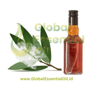Global Essential Oil, Cajuput Essential Oil