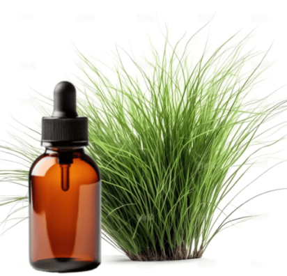 indonesian vetiver essential oil manufacturer, vetiver essential oil extraction method, how to get vetiver essential oil, benefit of vetiver essential oil for daily use, use of vetiver oil for sleep, vetiver fragrance oil