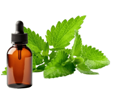 patchouli essential oil supplier, patchouli essential oil manufacturer, what fragrance patchouli oil blends with?, patchouli origins